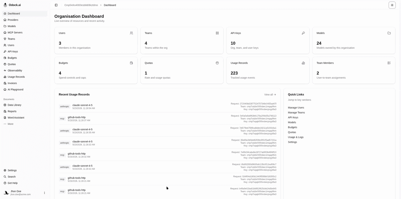 Org Usage Records page — analytics on top, table below
