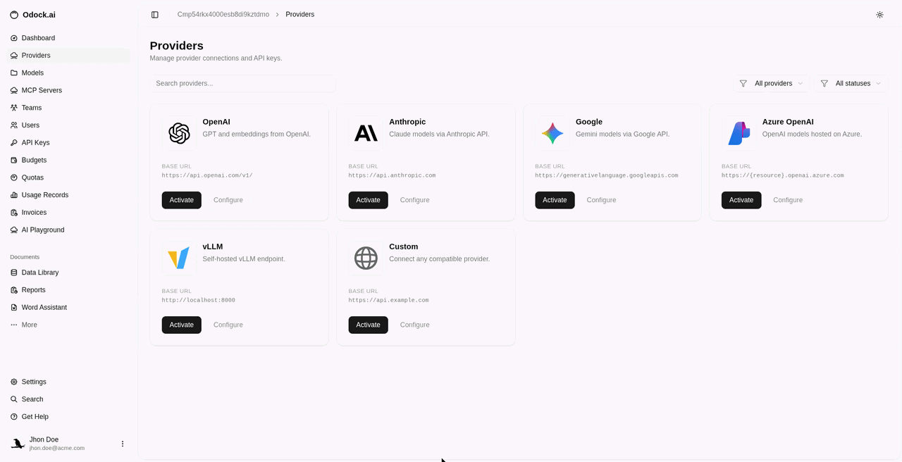 Activate the OpenAI provider and open its configuration